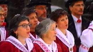 Oberwalliser Volksliederchor   D' ibischi Zyt    Kein schöner Land   1999