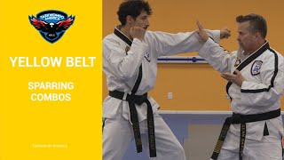 Taekwondo America | SPARRING combinations for Yellow Belts