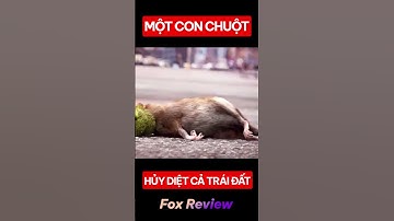 Cái C.hế.t Của Một Con Chuột Có Thể Hủy Diệt Cả Trái Đất ! - FOX REVIEW