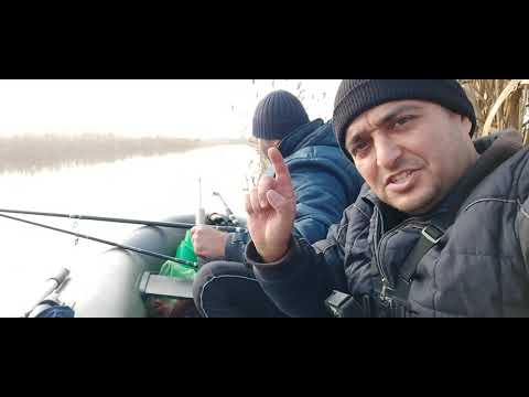 Video: Yanvar Ayında Dənizdə Tətillər