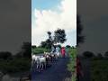 found pure peace ! #shorts #youtubeshorts #viral #ytshorts #youtube #art #villagelife #peace