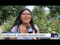 ¿Qué es un plan 529 y cómo te ayuda a ahorrar para la universidad? | Telemundo 44
