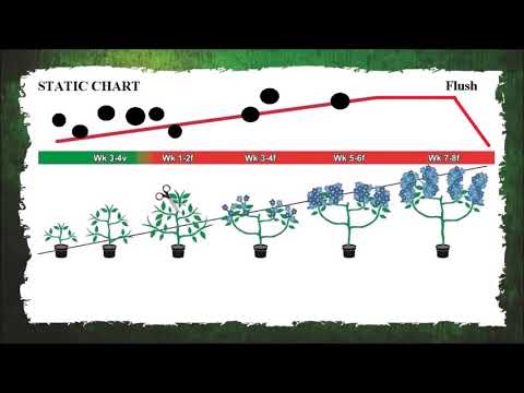 CANNABIS NUTRIENTS CALCULATING THE CORRECT AMOUNT   BUY THE GROW BOOK AND EQUIPMENT GUIDE