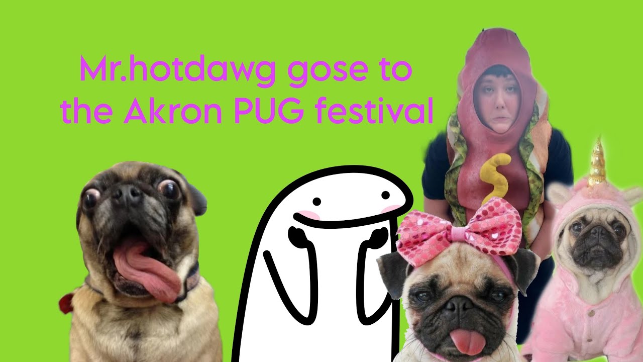 AKRON PUG FESTIVAL 2024