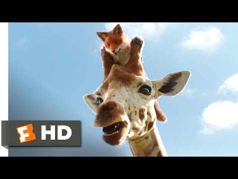 Video: Pet Scoop: „Dr „Doolittle” izvelk suni no saldēšanas ezera, žirafes numuriem
