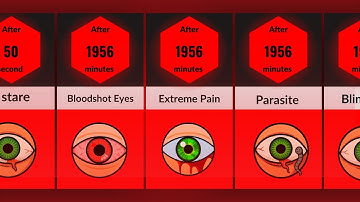 Timeline: What If You Stopped Blinking?