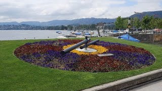 One Gloomy Day at the Flower Clock