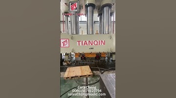 220kg SMC(sheet molding compound) door