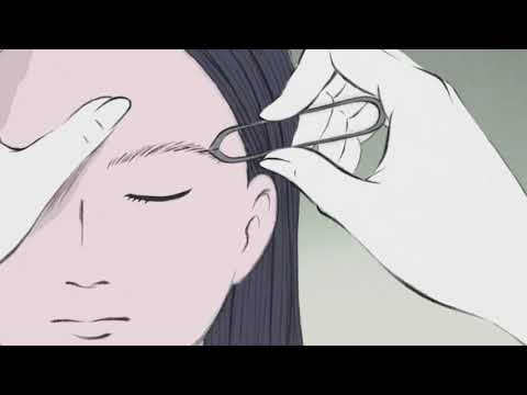 Tale of Princess Kaguya (Transformation Scene)