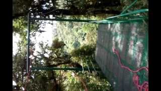 Mom on the Zipline in Costa Rica