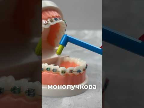 Монопучкова зубна щітка Curaprox Single CS 1006, 1 шт, видео 3