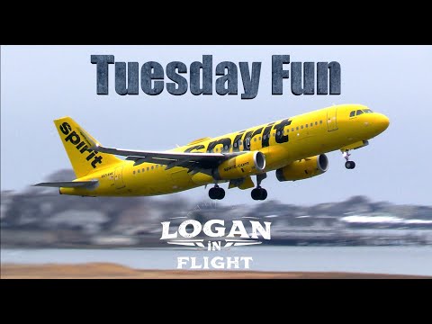 Tuesday Afternoon Plane Spotting at Boston Logan Airport | Takeoffs, Landings & Logan Lagoon Views
