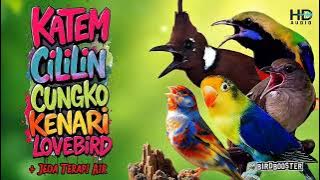 MASTERAN SATU JALUR   JEDA TERAPI AIR GARANSI CEPAT MASUK!