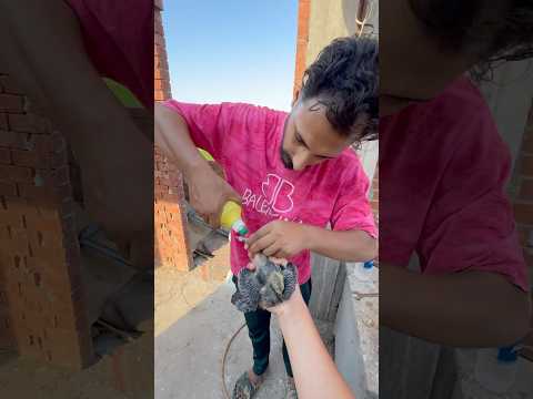 انا داخل المسابقة وهكسب العربيه