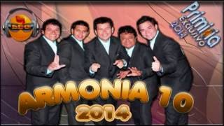 Video thumbnail of "AMOR QUERIDO - ARMONIA 10 - KARAOKE"