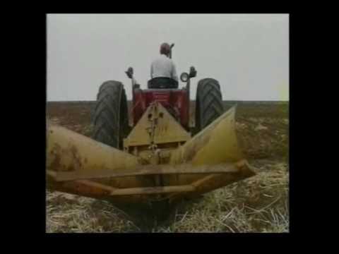 عادل مسلم / بلدنا نعلى شأنا يا ناس 94