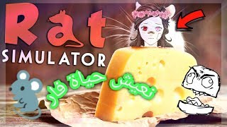 هجوم على بشرية | Rat Simulator