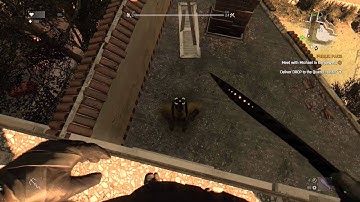 Dying Light - Zombie walks into a wall..