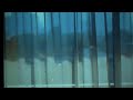 Morad Best Official Lyric Video 