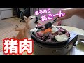 柴犬小春　【どこから声出してるの？】食べたいアピール！猪肉届いたよってに焼肉パーティー　FOREMA