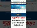 Vridha pension ekyc mobile se kaise kare | वृद्धा पेंशन ekyc | Bihar pension ekyc new Update
