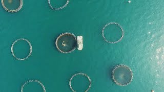San Diego Earth Focus Earth Focus Kcet