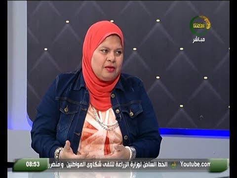 تعرف على أبرز المعايير المطلوب توافرها لتحقيق صحة وسلامة الأغذية لقاء د جهاد فتحى12 11
