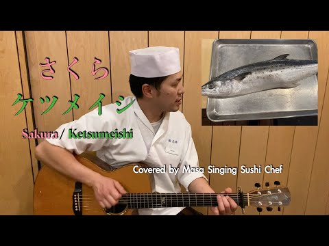 さくら / ケツメイシカバー(歌詞、コード譜概要欄)Sakura / Ketsumeishi