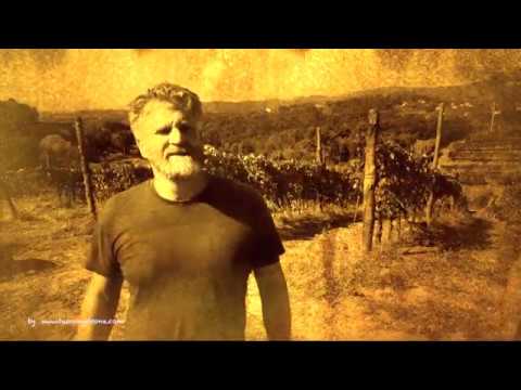 ⁣Maulina estate, Aurelio’s winery, at just 4 kms west of Lucca