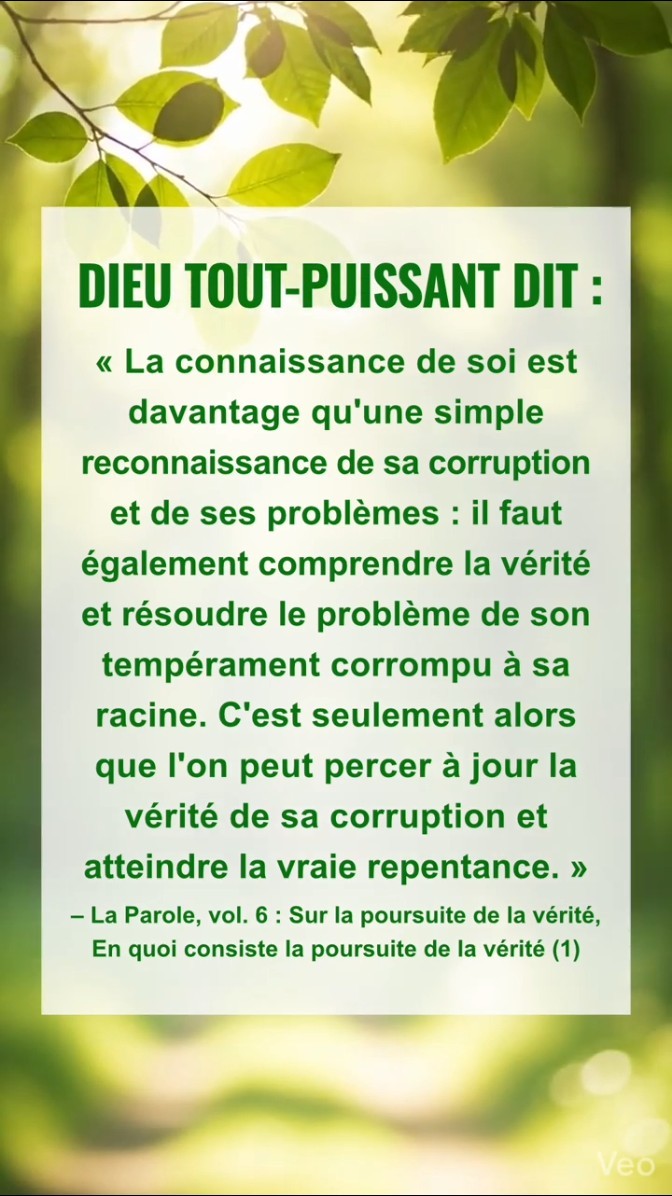 Apaise ton cœur devant Dieu et lis Ses paroles pour t'approcher de Lui