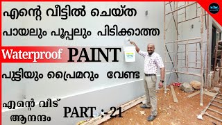 പായലും പൂപ്പലും പിടിക്കാത്ത waterproof Paint|Painting ideas|Painting|Exterior Painting|Dr. Interior