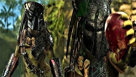 TESTING WOLF PREDATOR CLASS BUILDS ON PRIVATE MATCHES ON PREDATOR: HUNTING GROUNDS #953