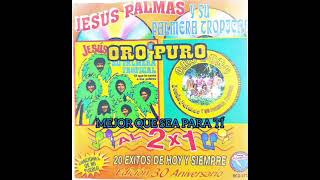 JESÚS PALMAS Y SU PALMERA TROPICAL ❤️ ORO PURO ❤️ Àlbum Completo ❤️ AL 2 X 1 ❤️ 20 Éxitos