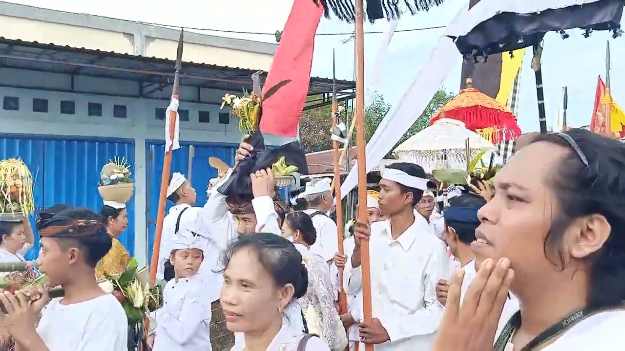 Mendak dan Ngadegan Betara Amertha Pujawali Pura Lingsar Lombok Tgl 14 Desember 2024