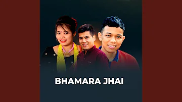 BHAMARA JHAI