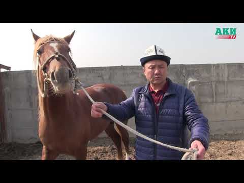 Video: Орто кылымдардагы сүрөттөрдө орус жылдыздары кандай көрүнөт