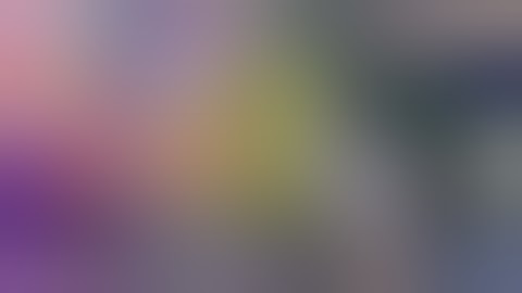 Unbojih Software Add Round 528 (Sinai Productions is my favourite logo!)