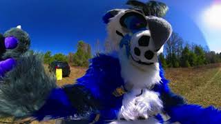 360° POV: a very hot furry wolf finds you alone in his field