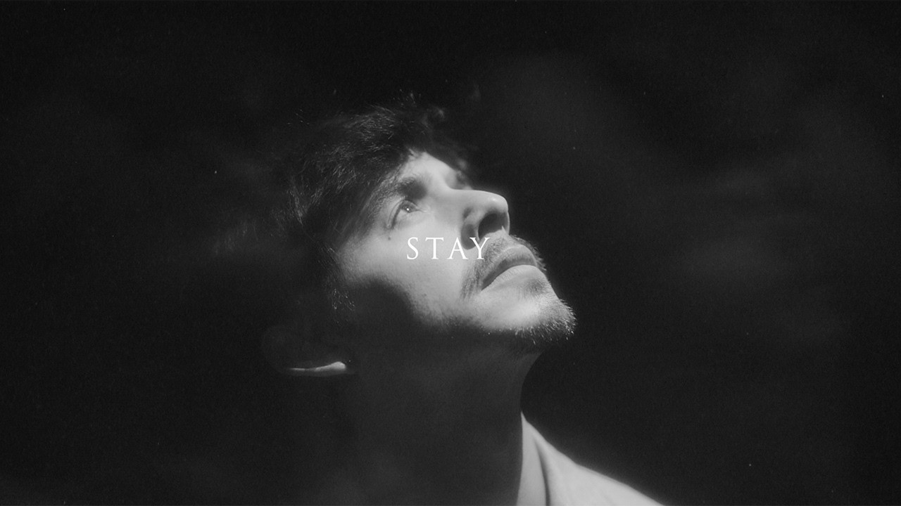 Stayer Singer Stay
