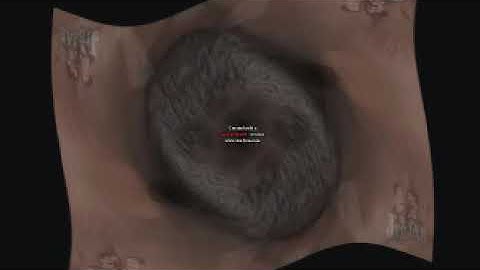 JibJab AVS and Sony Vegas Multi Rendering