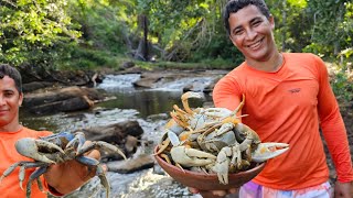 THE GREAT GUAIMUM OR BLUE CRAB / CATCHING AND COOK