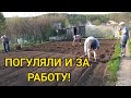 16 соток требуют работы! Семейный дачный влог.