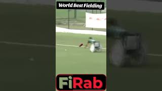 World Best Fielding ##bestfielding #cricket #wheelchaircricket #bestfelder #jontyrhodes #firab