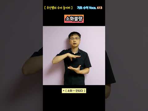 [ 기초 수어 Voca ] 613. 소화불량 - 수화배우기 [주넌쌤의 수어놀이터]