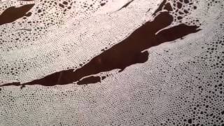 Motoi Yamamoto's Return to the Sea: Saltworks