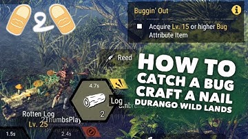 Durango Wild Lands How to Catch a Bug and Craft a Nail Guide Unstable Tropical Sea Lv.25 Gameplay