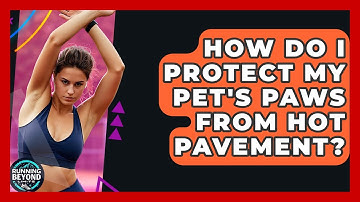How Do I Protect My Pet