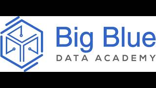 Big Blue Data Academy | IANOS