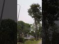 Kampung spirit: Passers-by band together to remove fallen tree on MacPherson Road