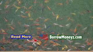 How To Borrow 200 Dollars Fast - Low Credit No Problem